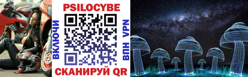 KRAKEN как войти  где найти наркотики  Светогорск  Галлюциногенные грибы GOLDEN TEACHER 